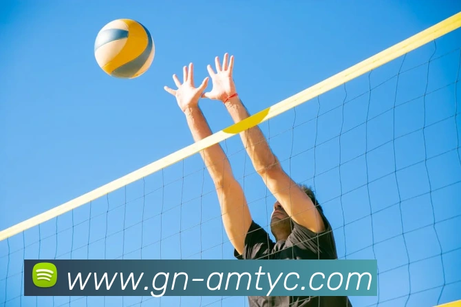 澳门太阳城服务体系